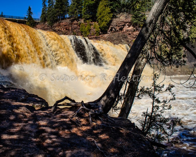 17Apr_SB_Beaver_Gooseberry_113