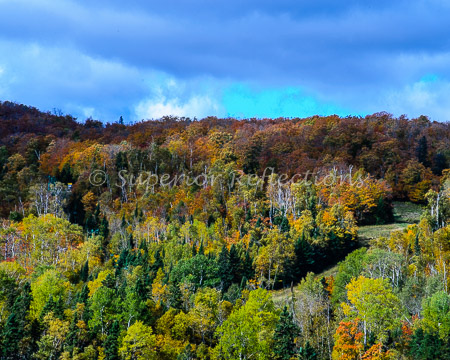 15Oct_North_Shore_October_006