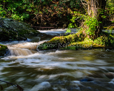 17Sep_Tischer_Creek_028