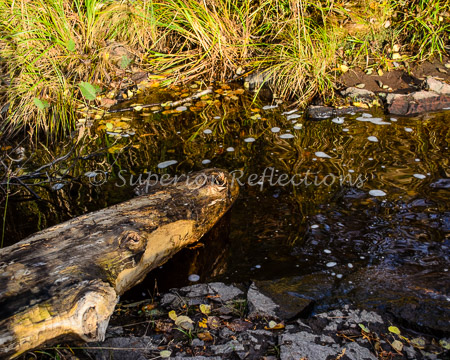 17Oct_Split_Rock-Baptism_055