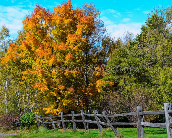 17Oct_West_Skyline_Fall_021