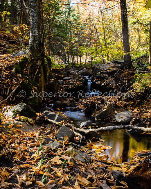 17Oct_West_Skyline_Fall_042