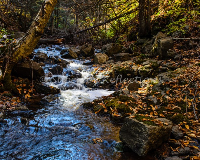 17Oct_West_Skyline_Fall_048