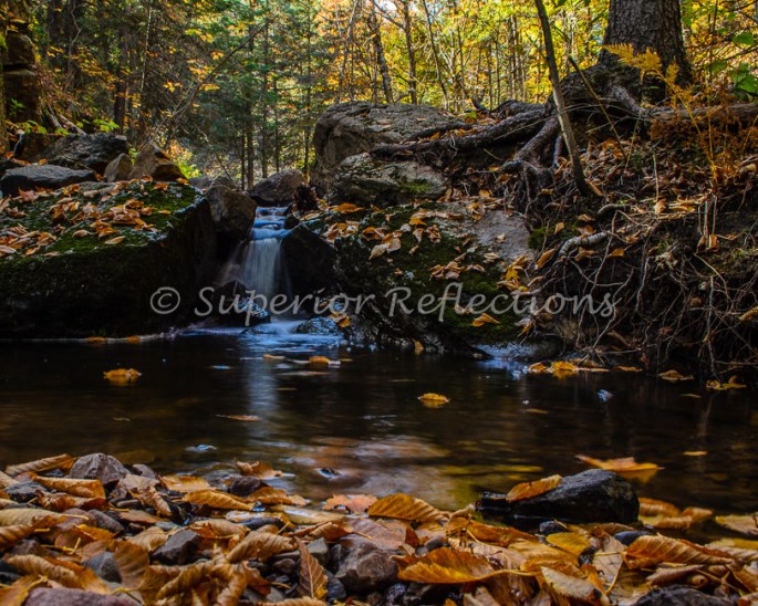 17Oct_West_Skyline_Fall_053