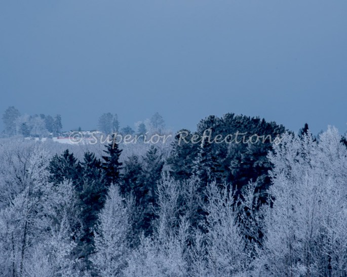19Feb_Frost_Morning_120