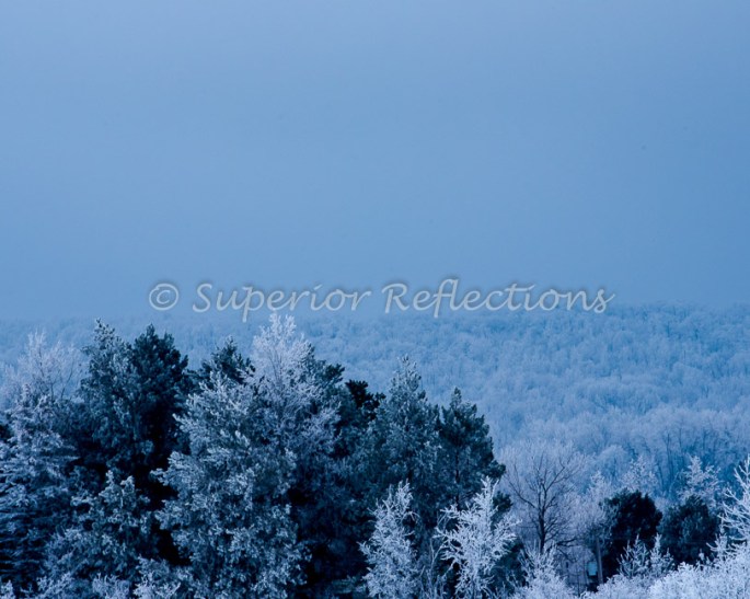 19Feb_Frost_Morning_121