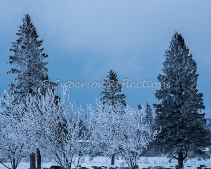 19Feb_Frost_Morning_124