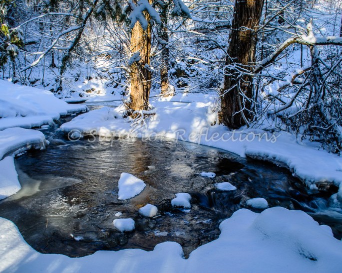 15Dec_Winter_Creek_027