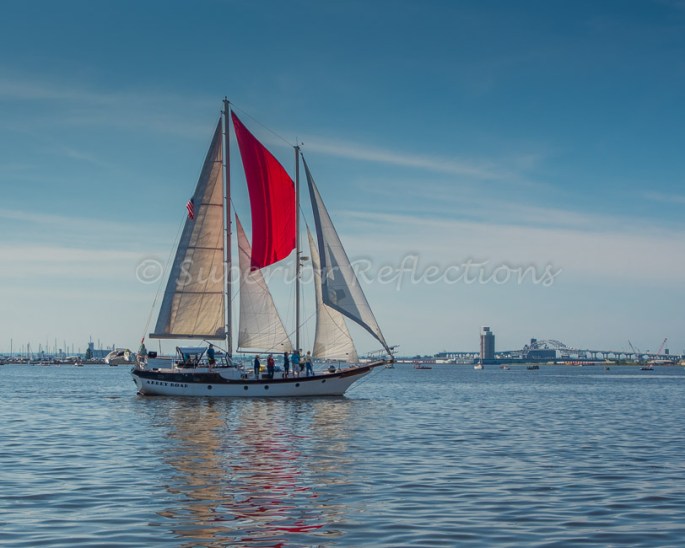 19Aug_Tall_Ships_2019_013